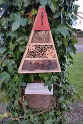 Insect Hotel3 Watsons Estate